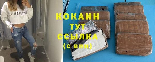 сатива Гусиноозёрск