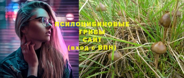 эйфоретик Горняк