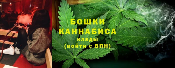 эйфоретик Горняк
