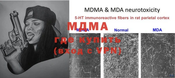 сатива Гусиноозёрск