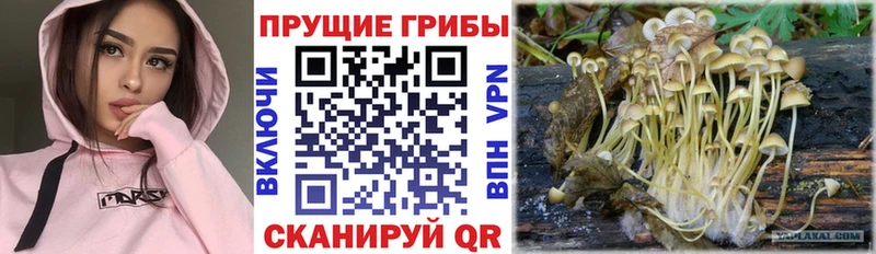 Галлюциногенные грибы GOLDEN TEACHER  Джанкой 